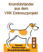 Einkreuzprojekt des VRK Einkreuzprojekt des VRK